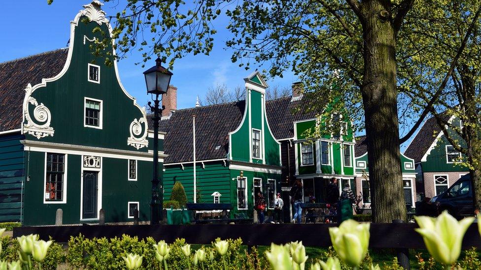 Buildings in the Zaanse Schans