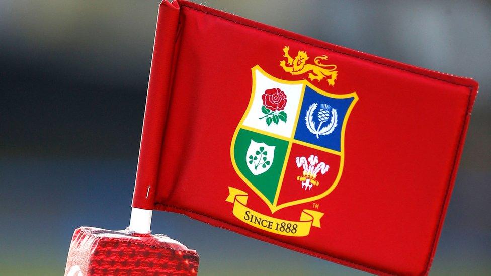 Lions Flag
