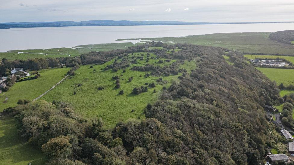 Drone shot of Kirkhead Caves and wood