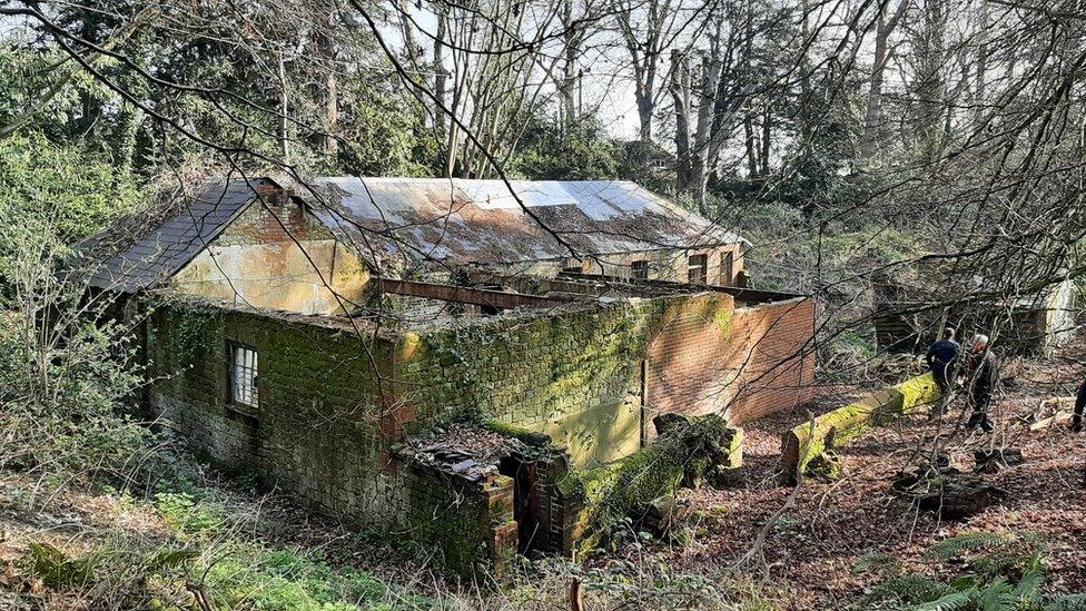 Bat roost in West Sussex