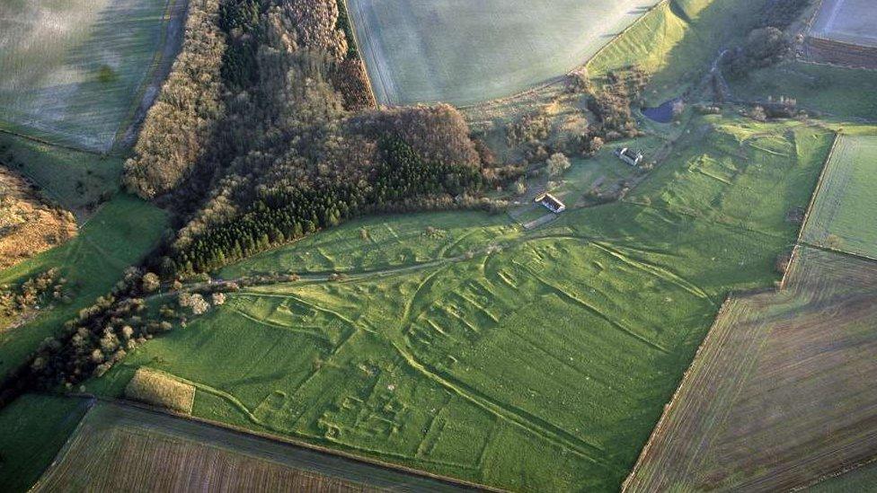 Aerial view of Wharram Percy