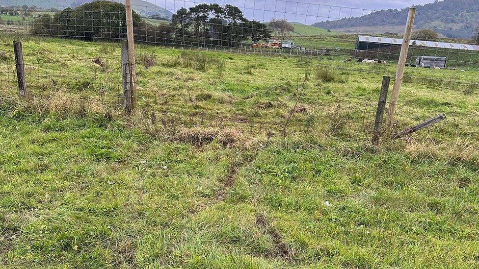 Damage done to fence which led to the escape