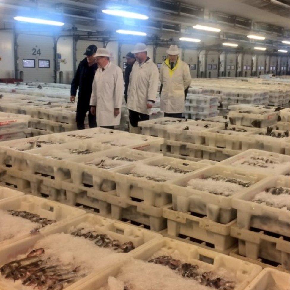 David Mundell at Peterhead fish market