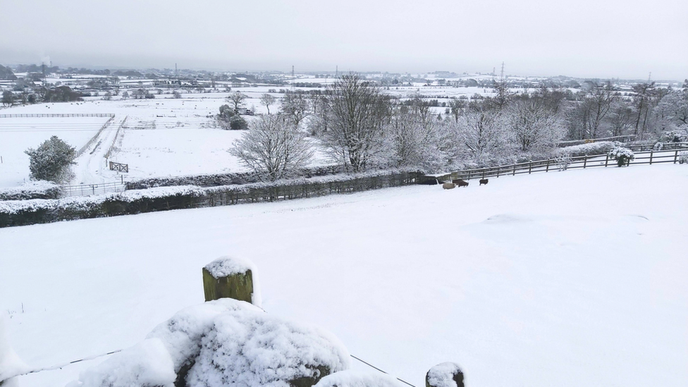 A snowy farm