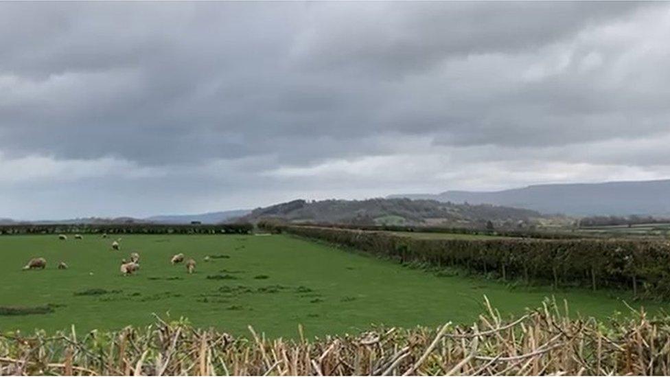 A field with the Black Mountains in the distance