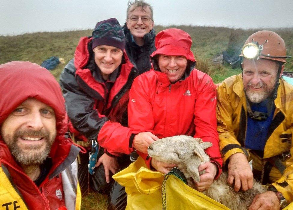 Rescuers with the stricken sheep