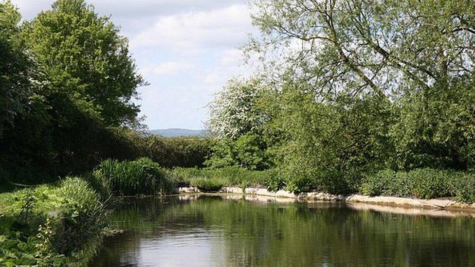 Stroudwater canal