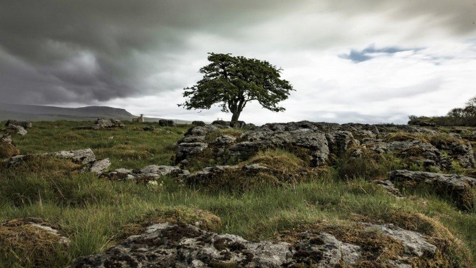 yorkshire-dales.