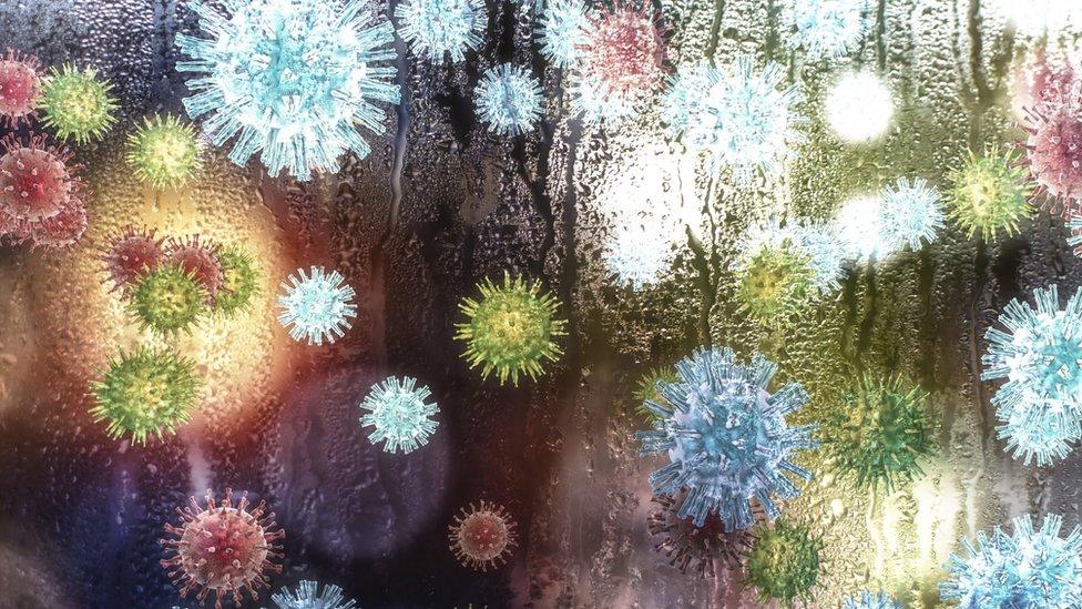Common cold virus