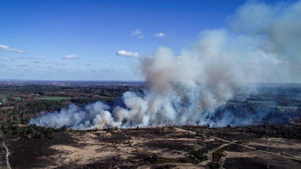 Smoke rising from the fire