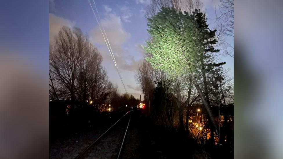 Fallen tree on Metro line