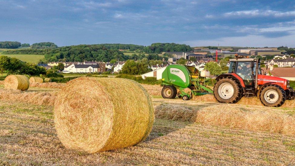 Farmers make round bales in a field in Ballymoney