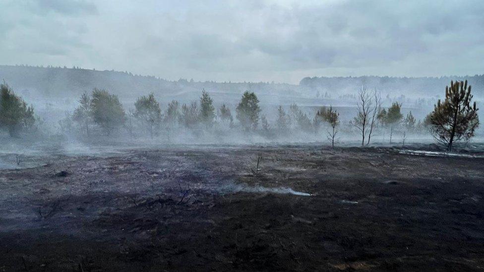 Scorched earth on Hankley Common