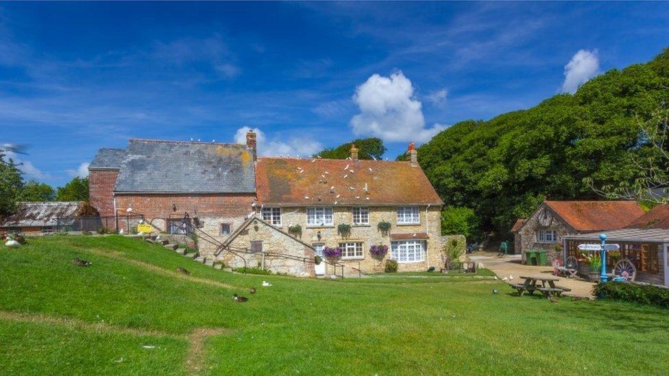 Historical buildings in a green setting at Calbourne Water Mill