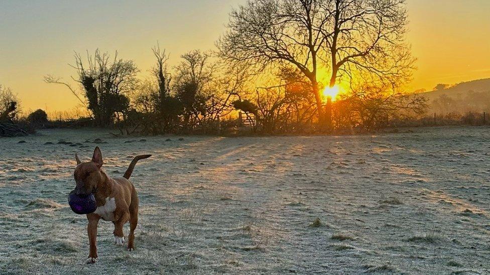 FRIDAY - Lambourn