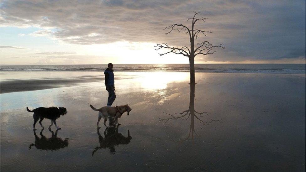 Image of how the metal tree will look if approved by planners