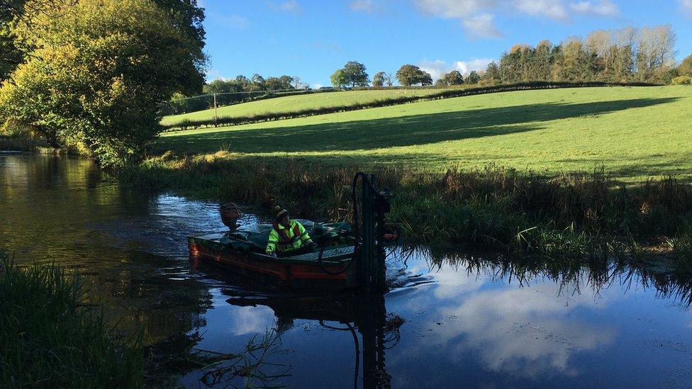 Training with the reed cutter