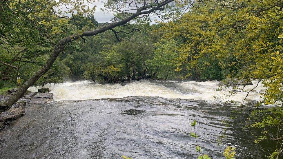 Roedd llif yr Afon Ogwen wedi gostegu rhywfaint erbyn bore Mercher