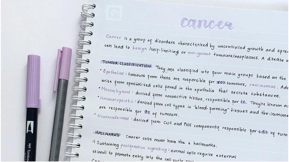 Zoe's revision notes and tips have now attracted more than 40,000 followers