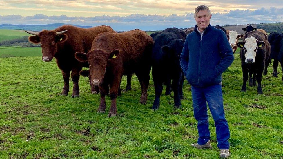 Andrew Hodgson with cows