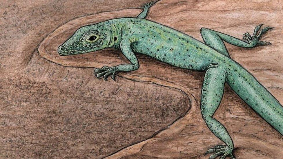 Artist impression of the lizard