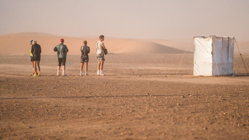 Toilet cubicles in the Sahara desert