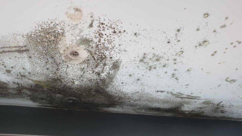 Mould in Jayde Cartwright's home