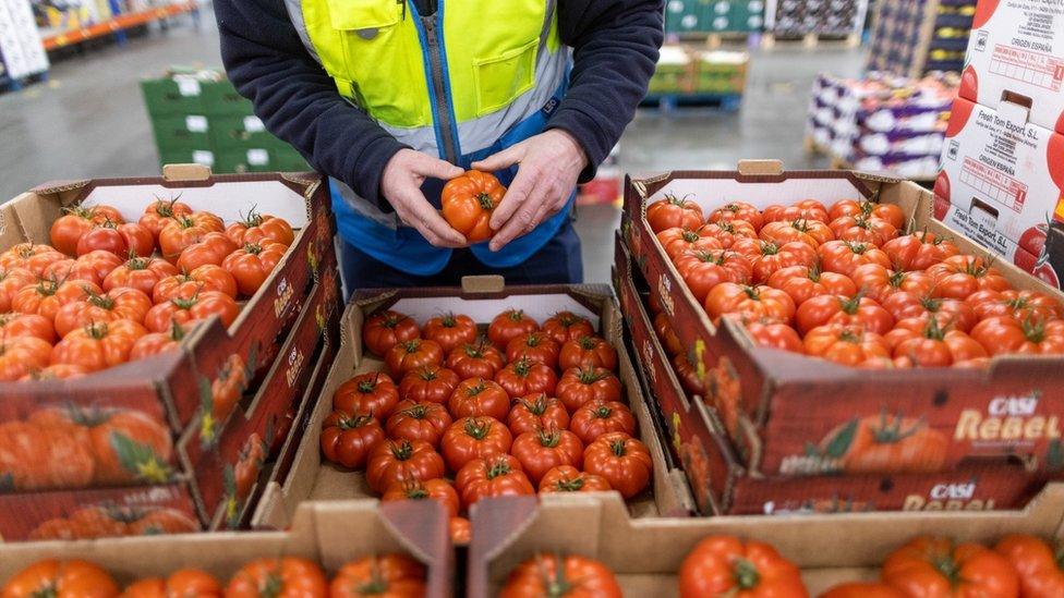 A person wearing a hi-viz jacket is holding a tomato. There are crates of tomatoes around the person.