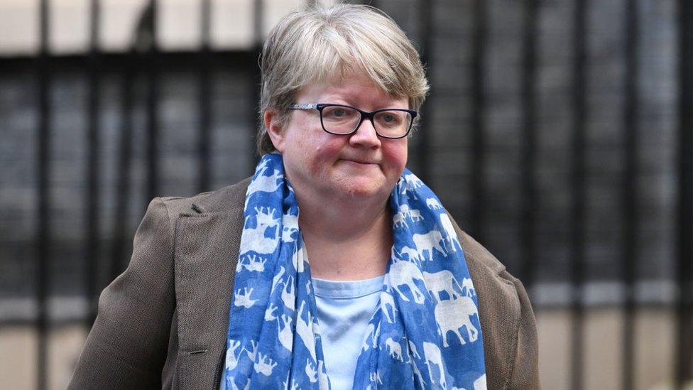 Therese Coffey