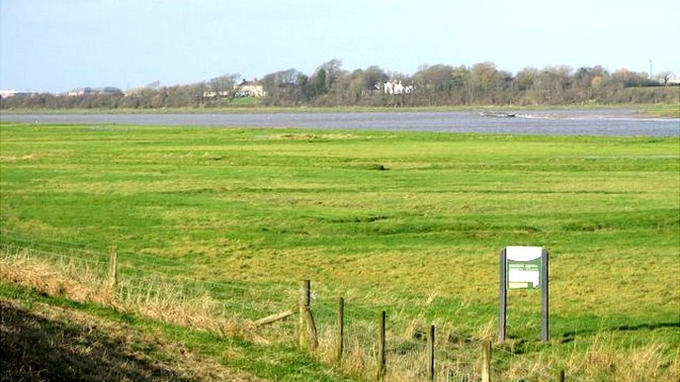 Hesketh marshes