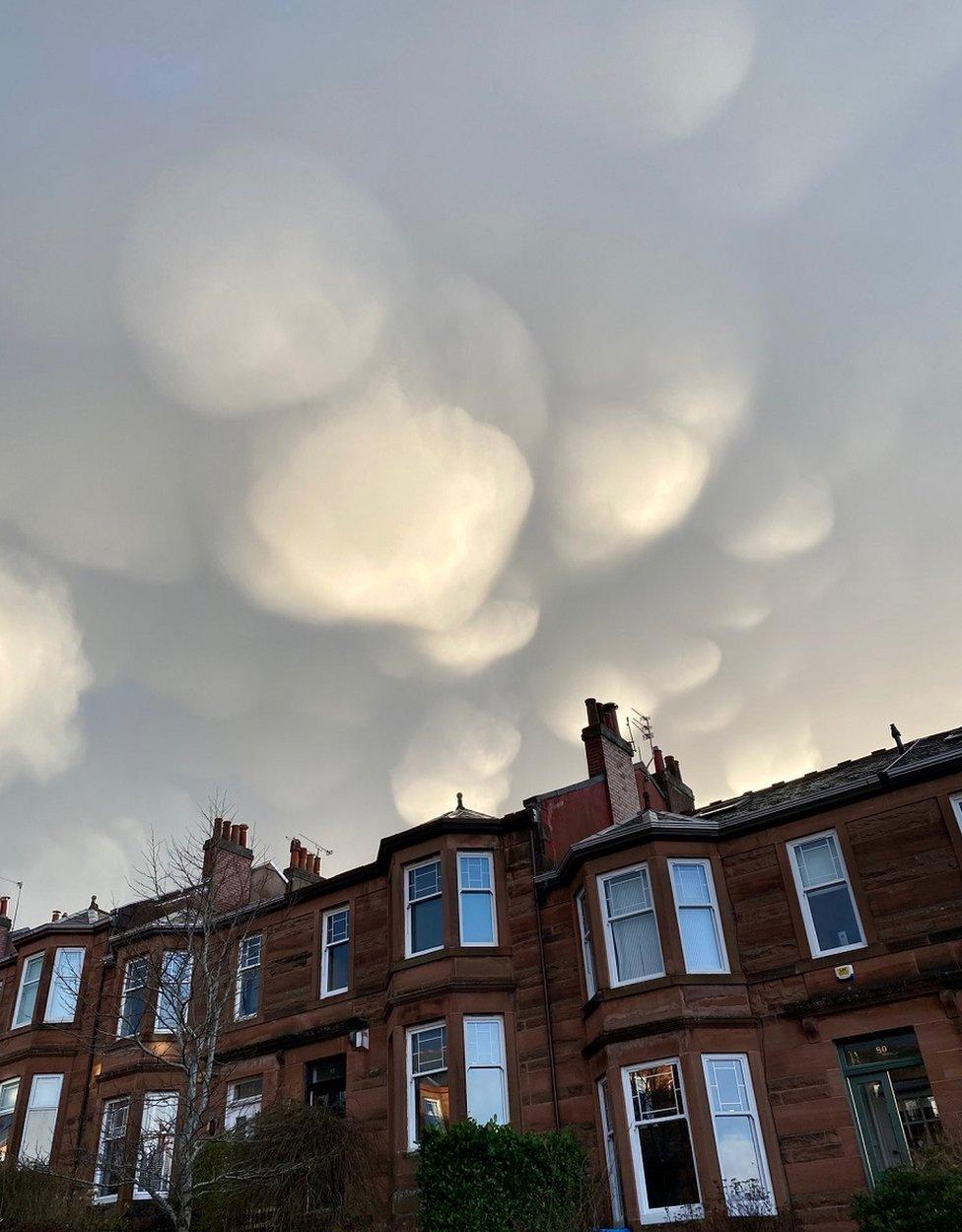 Mammatus clouds