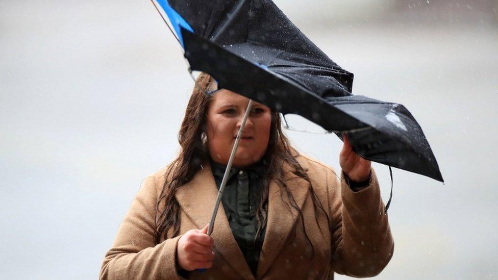 Sheffield United fan