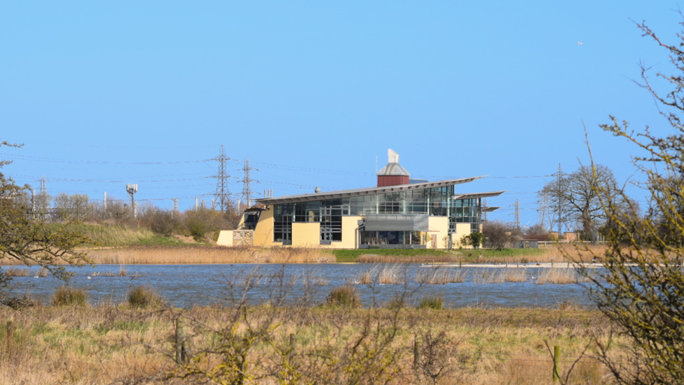 RSPB Saltholme, Teesside