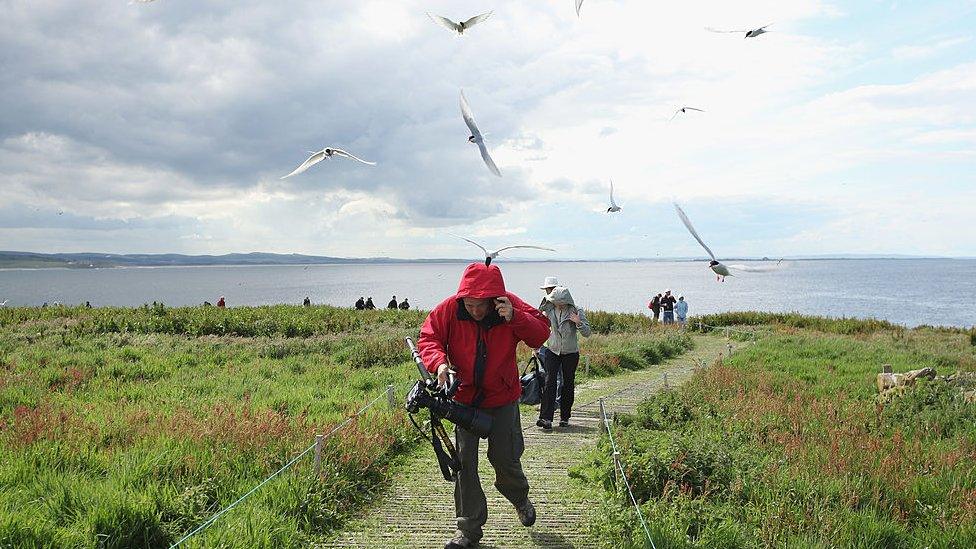 A man being bothered by birds