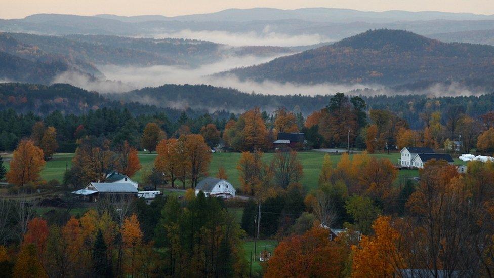 changing leaf colours