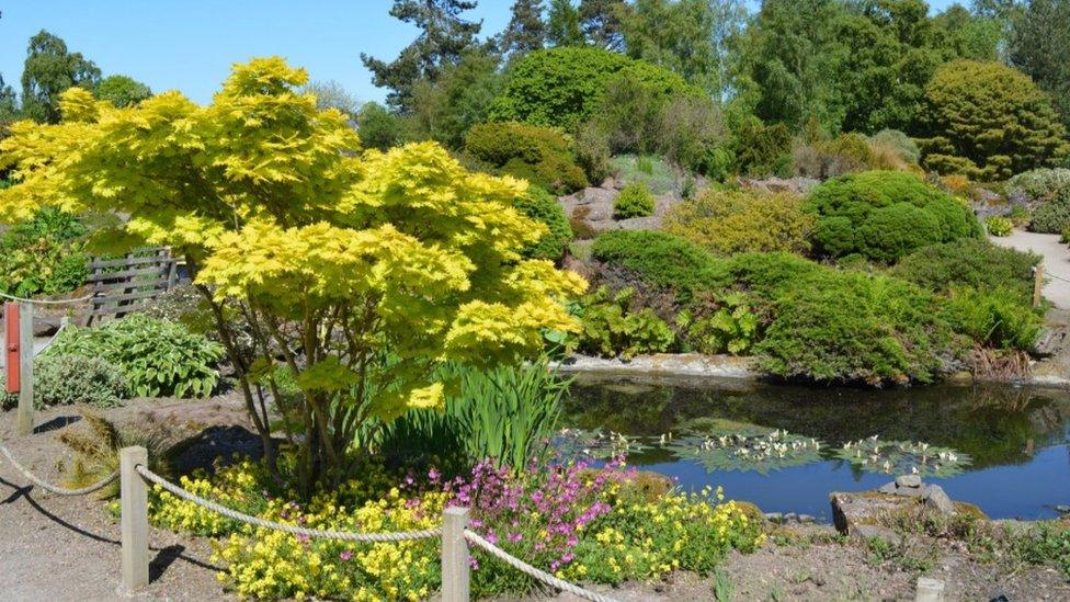 Royal Botanic Garden in Edinburgh