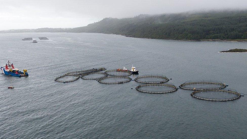 Drone footage of fish farm