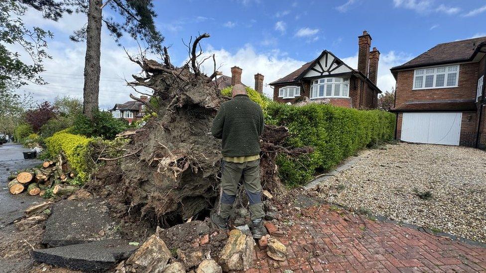 A fallen tree outside houses in Selby Road