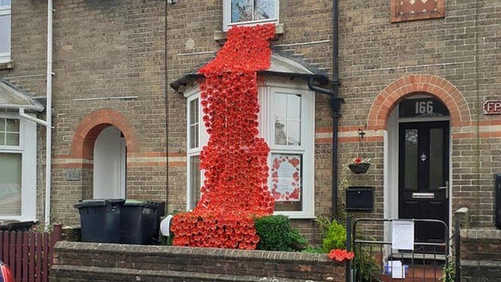 Poppy display