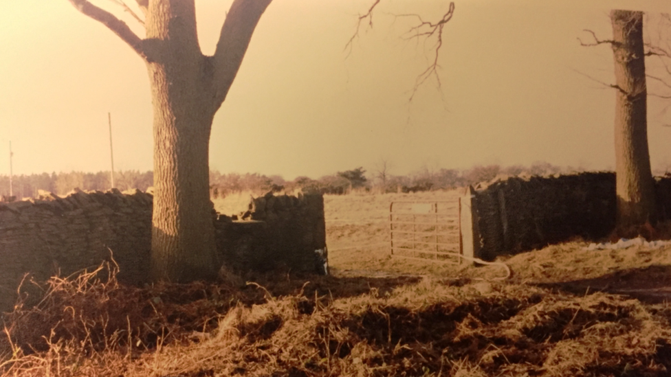 Blue House Farm