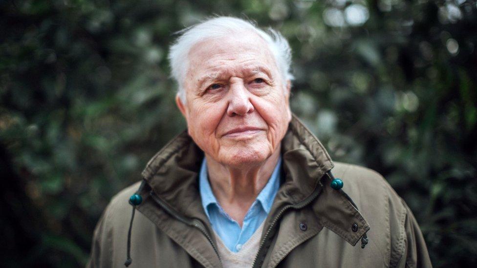 david-attenborough.