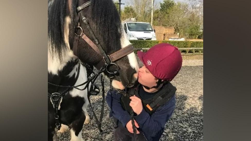 The therapy horse, a Welsh Cob named Sam