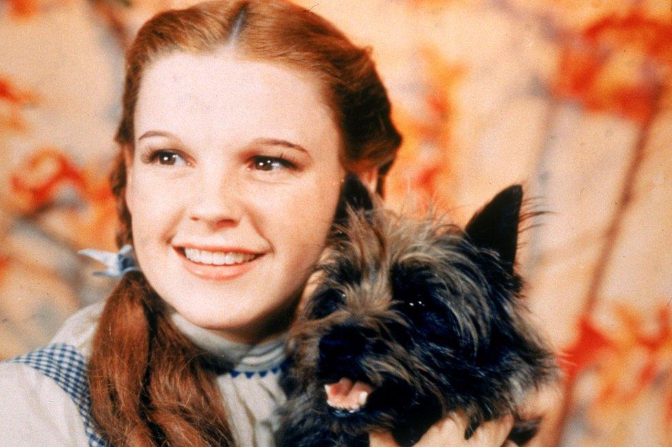 Judy Garland