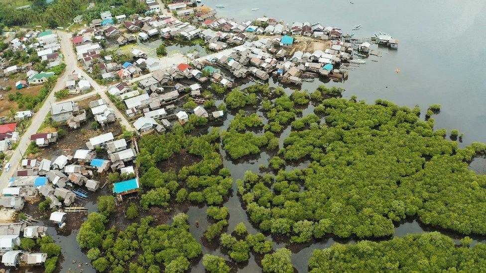 Village on waterside surrounded by mangrove trees on the right and left of the picture