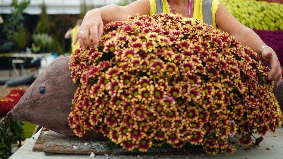 A hedgehog made out of flowers