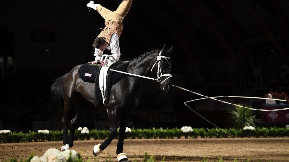 A man holds himself up in the air on the back of a horse