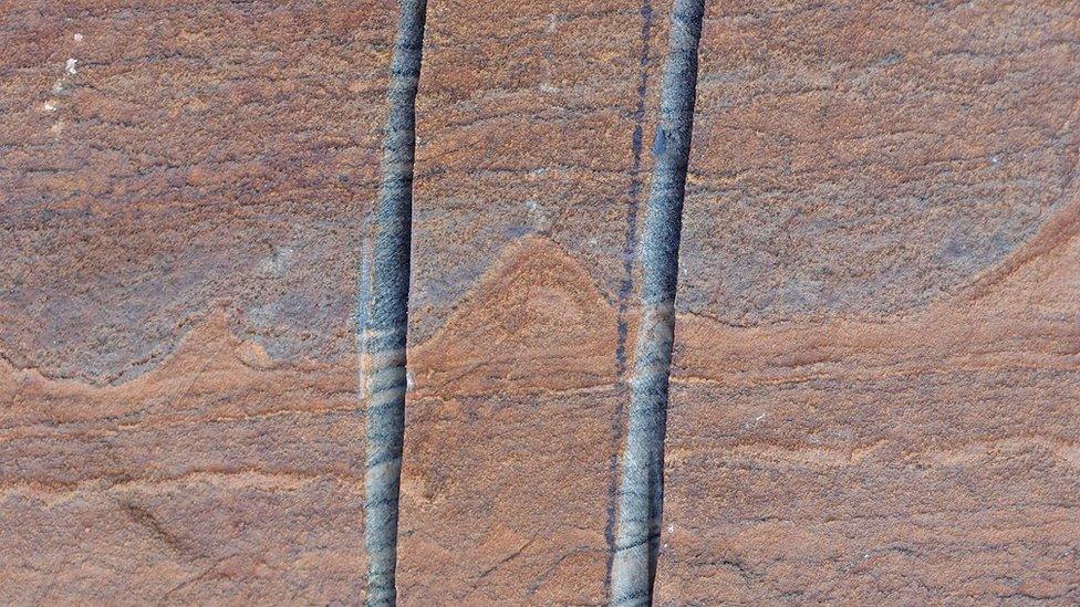 Stromatolites