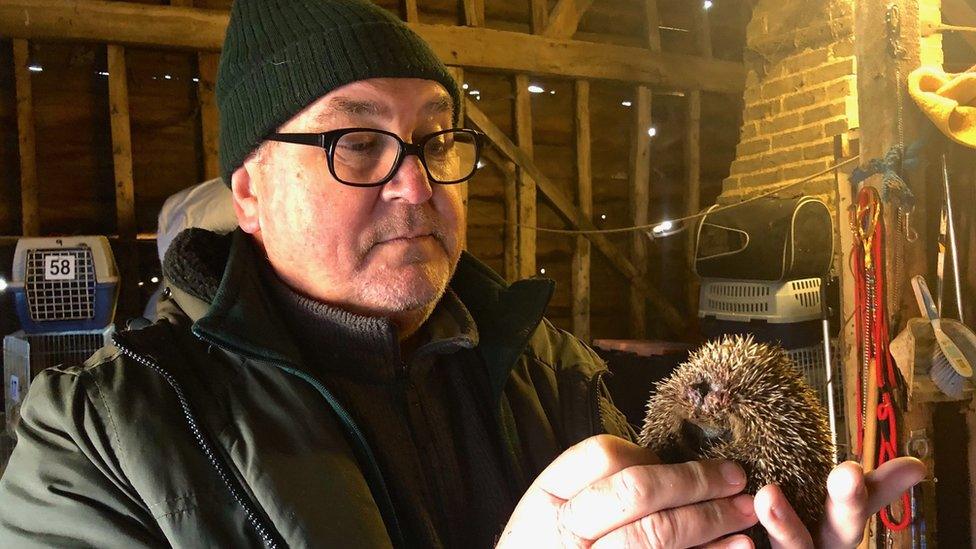 Chris Wicks holding a hedgehog