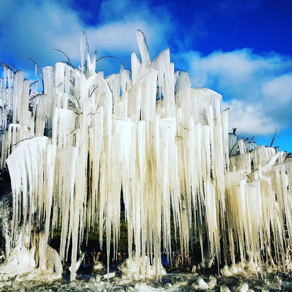 Icicle tree