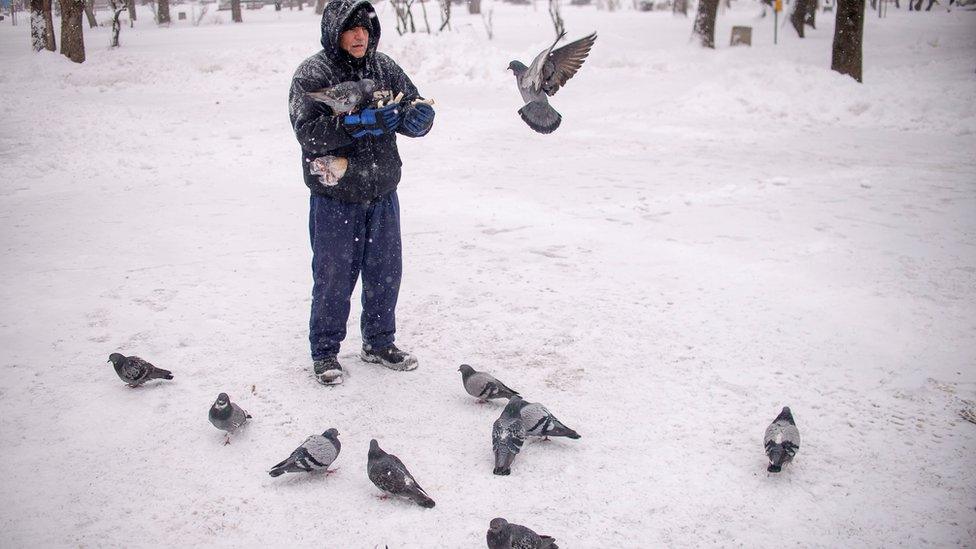 A man feeds pigeons in the snow